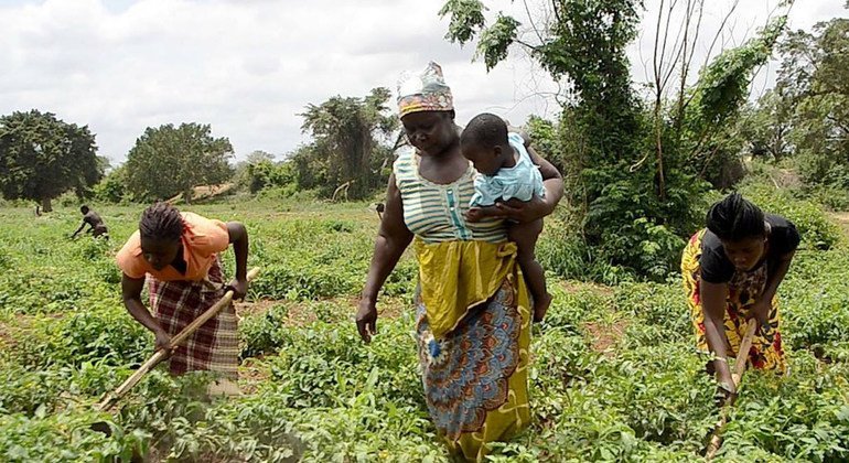 Family Farming